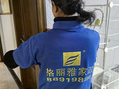 -武汉格丽雅家政 保洁清洗