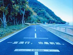 -杨梅坑