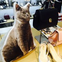 远大购物中心(南岗店)电话,地址,价格,营业时间