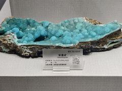 -湖南省地质博物馆