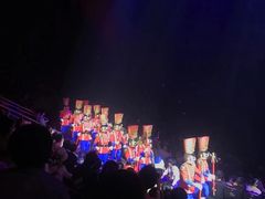 -珠海横琴长隆《卡卡虎奇遇记》