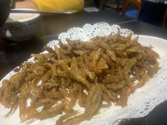 -野菌皇海景野生菌火锅(滨海大道店)