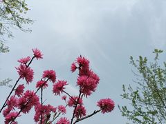 -经纬广场