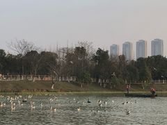 -艾溪湖湿地公园