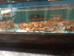 -阿伟海鲜楼·福建菜(延寿店)
