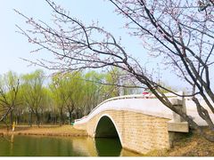 -东郊湿地公园