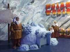 -芜湖新华联大白鲸海洋公园