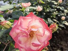 -人民公园(罗湖区)