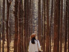-山王坪喀斯特国家生态公园