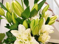 -森野花艺培训·企业团建活动沙龙