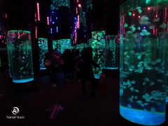 -成都浩海立方海洋公园