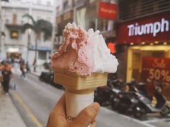 -柠檬车露(卖草地店)