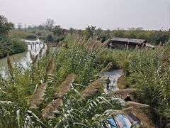 -泗洪洪泽湖湿地景区