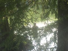 -浙江农林大学(东湖校区)