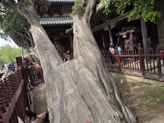 -晋祠博物馆