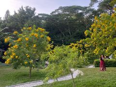 -深圳国际园林花卉博览园