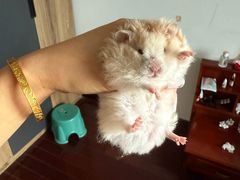 -Tims天好咖啡·贝果(东吴龙湖天街店)