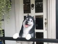-TrueLove @ Neverland (Husky Cafe)