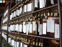 -溪口-滕头旅游景区