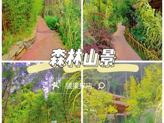 -华宁象鼻温泉旅游文化度假区
