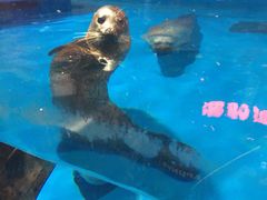 -梦幻海洋王国(吾悦广场张家港店)