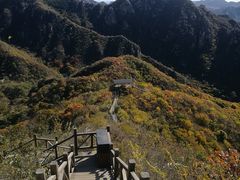 -大岭沟猕猴桃谷风景区