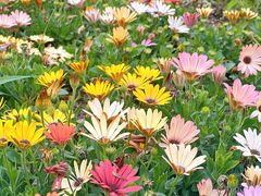 -平安里(地铁站)