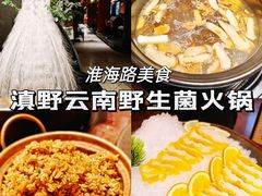-滇野云南野生菌餐厅(陕西南路店)