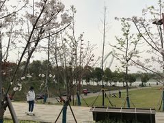 -南京眼步行桥
