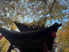 -碑林公园
