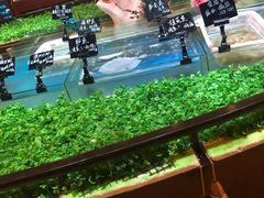 -启东恒大酒店·吕四渔号海鲜餐厅