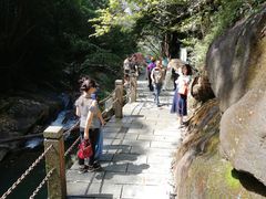 -九龙江国家森林公园