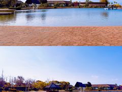 -月亮湾湿地公园