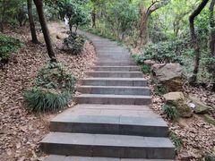 -杭州半山国家森林公园