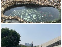 -侵华日军南京大屠杀遇难同胞纪念馆
