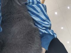 -佳雯宠物医院(信河分店)