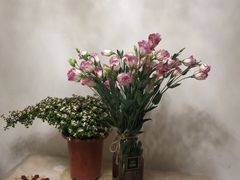 -三圣花乡旅游区