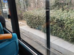 -胶州湾海底隧道