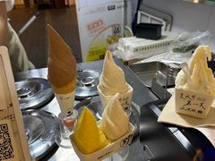 -野人先生现做冰淇淋(北京顺义祥云小镇店)
