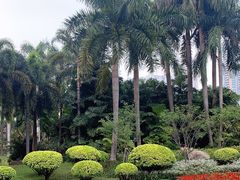-广州珠江公园