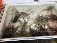 -拉威海鲜市场