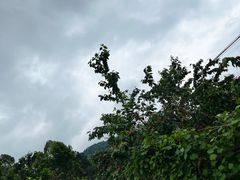 -樱桃山旅游景区