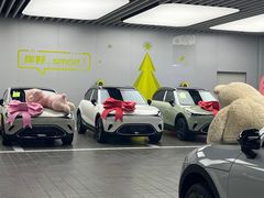 -上海浦东smart汽车全功能店(金桥店)