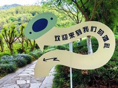 -宁波九龙湖开元度假村