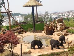 -云南野生动物园