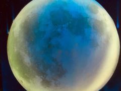 -梵高星空艺术馆(北京旗舰店)