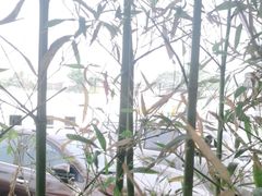 -向外鱼乐·土菜·虹鳟鱼