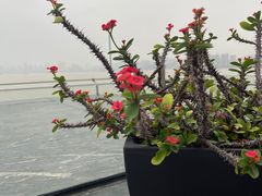 -影吧•悬崖海景(珠海凤凰湾悦椿酒店)
