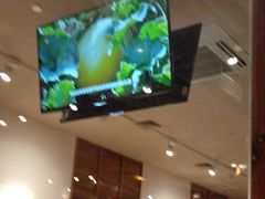 -西贝(金桥店)