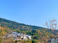 -塔川景区